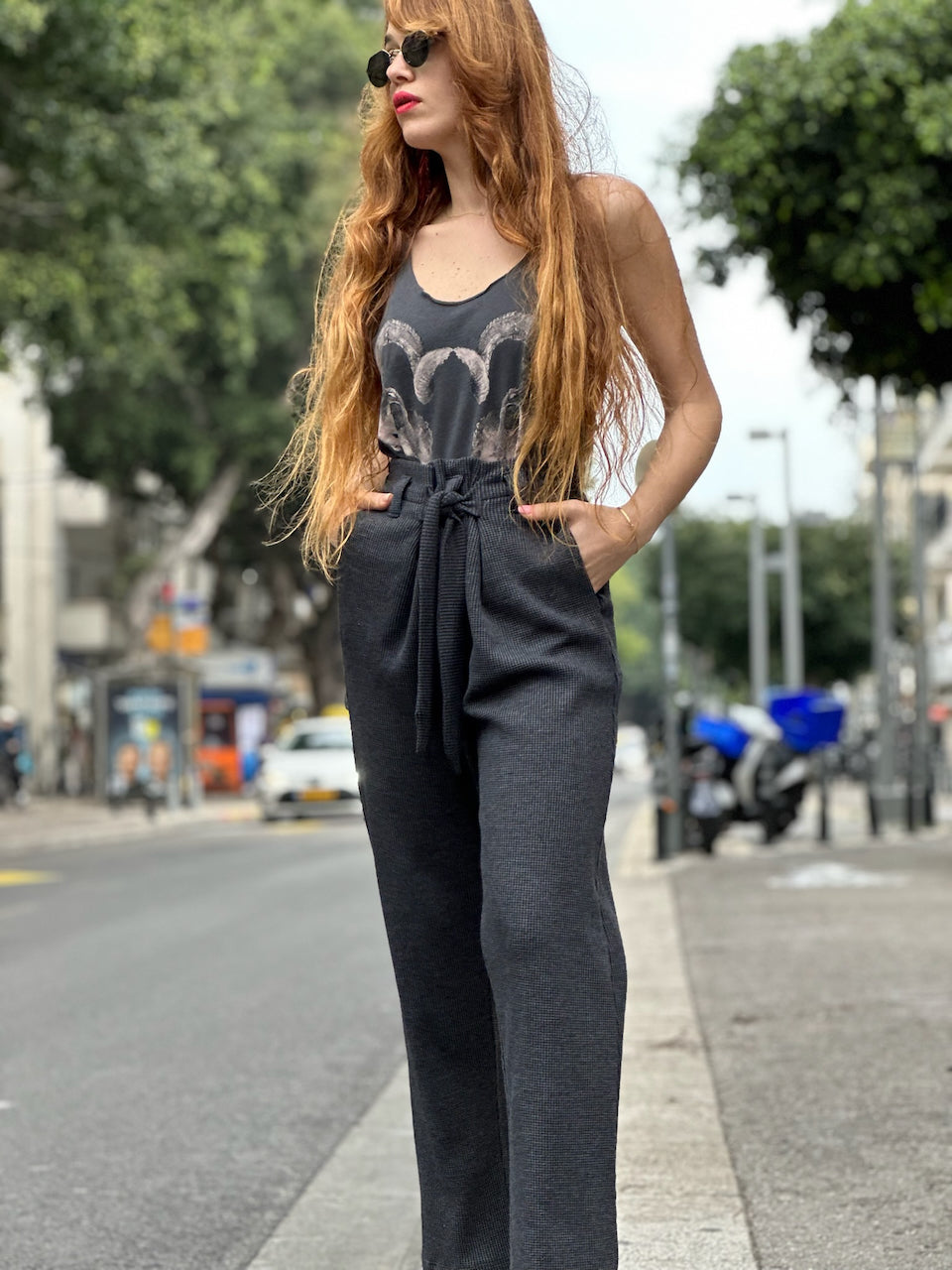 מכנסי איזבל - פלדה
